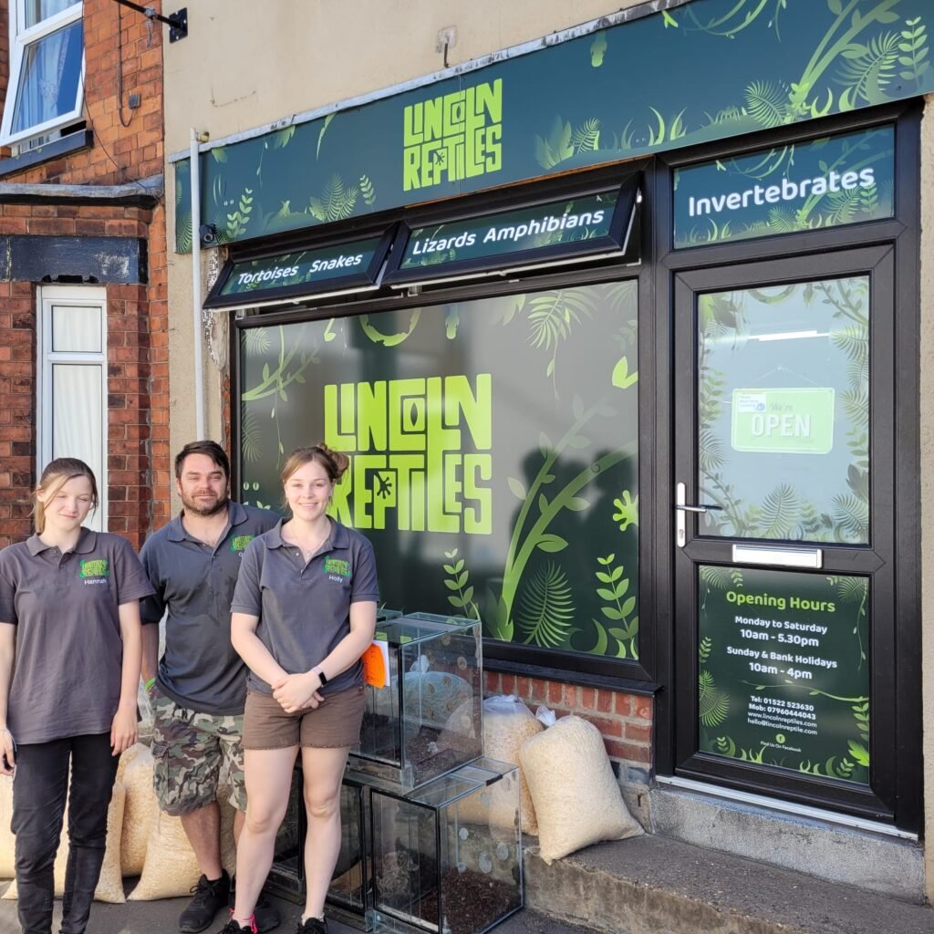 lincoln reptiles sign and uniform